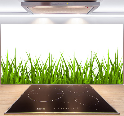 Crédence en verre cuisine Herbe