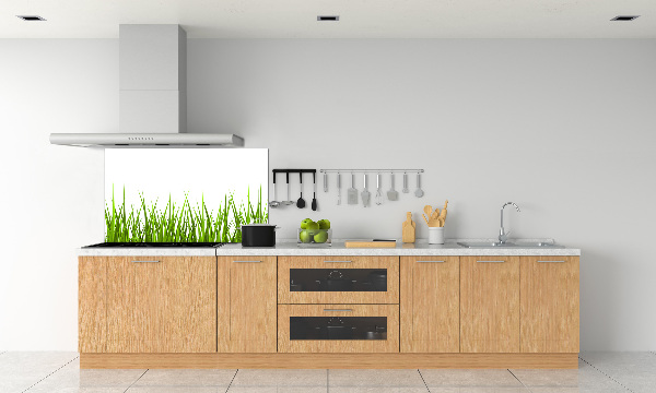 Crédence en verre cuisine Herbe