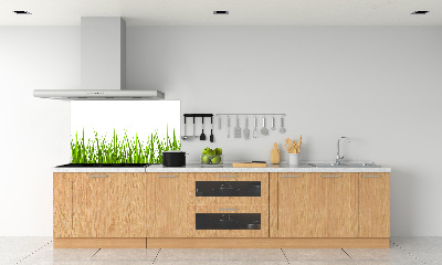 Crédence en verre cuisine Herbe