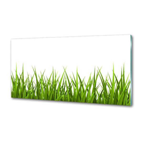 Crédence en verre cuisine Herbe