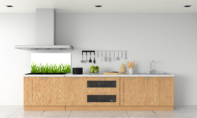 Crédence en verre cuisine Herbe