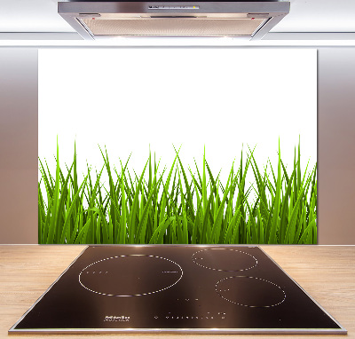 Crédence en verre cuisine Herbe