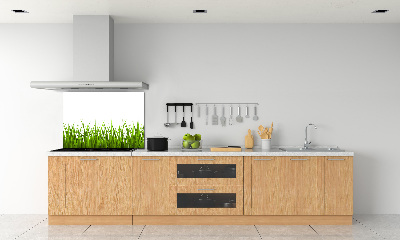 Crédence en verre cuisine Herbe