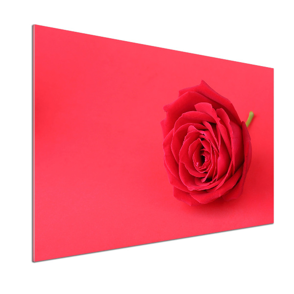 Crédence cuisine en verre Rose rouge