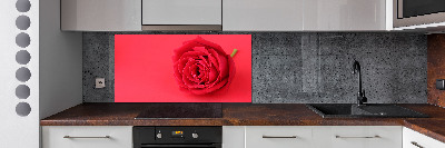 Crédence cuisine en verre Rose rouge