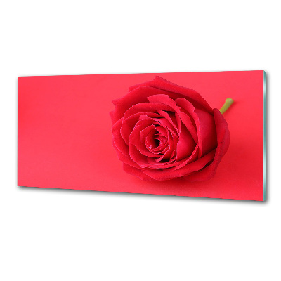 Crédence cuisine en verre Rose rouge