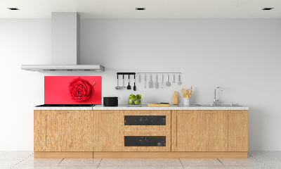 Crédence cuisine en verre Rose rouge