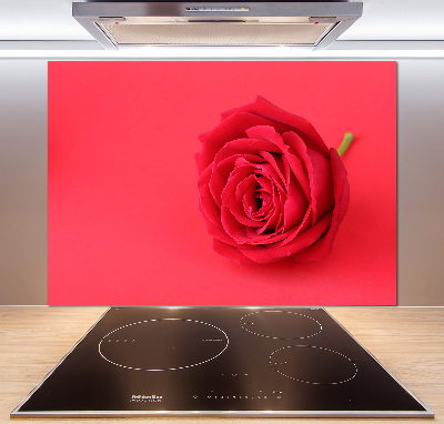Crédence cuisine en verre Rose rouge