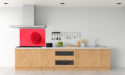 Crédence cuisine en verre Rose rouge