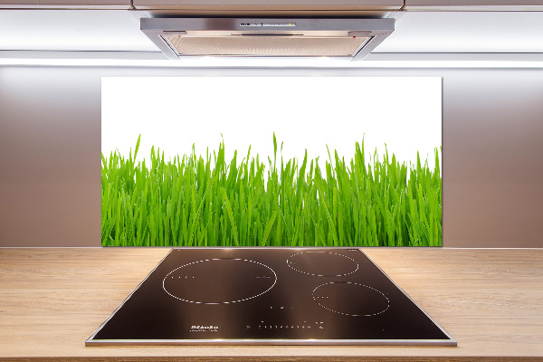 Crédence cuisine en verre trempé Herbe