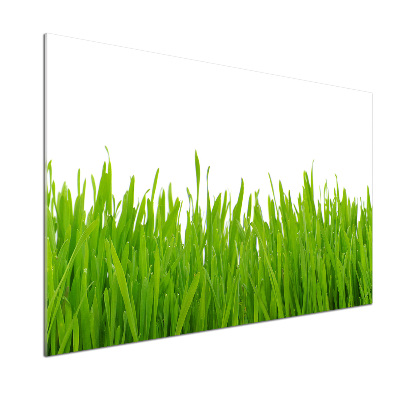 Crédence cuisine en verre trempé Herbe