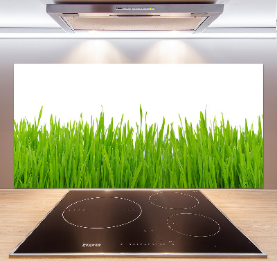 Crédence cuisine en verre trempé Herbe
