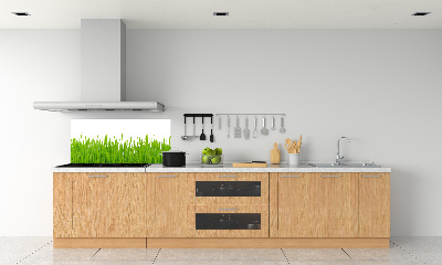 Crédence cuisine en verre trempé Herbe