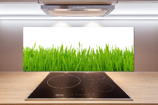 Crédence cuisine en verre trempé Herbe
