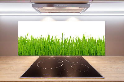 Crédence cuisine en verre trempé Herbe