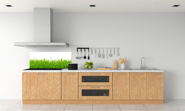 Crédence cuisine en verre trempé Herbe