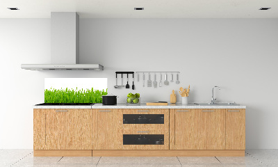 Crédence cuisine en verre trempé Herbe