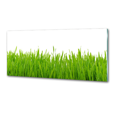 Crédence cuisine en verre trempé Herbe