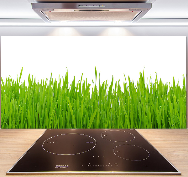 Crédence cuisine en verre trempé Herbe