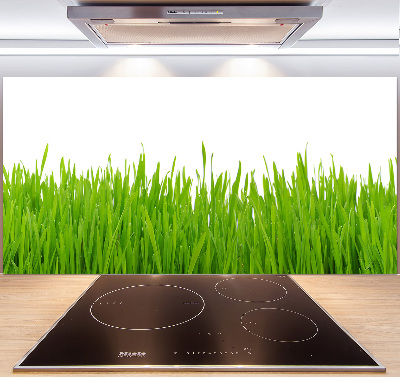 Crédence cuisine en verre trempé Herbe