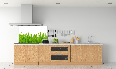Crédence cuisine en verre trempé Herbe