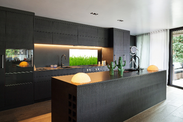 Crédence cuisine en verre trempé Herbe