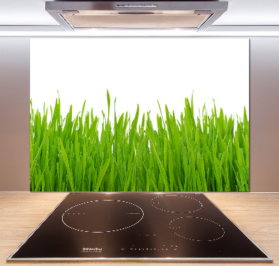 Crédence cuisine en verre trempé Herbe