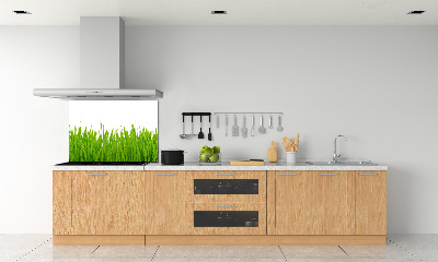 Crédence cuisine en verre trempé Herbe
