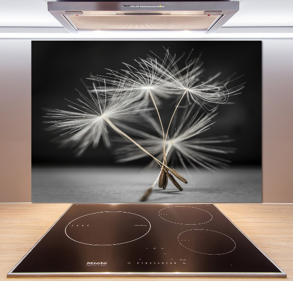 Crédence en verre cuisine Graine de bouffi
