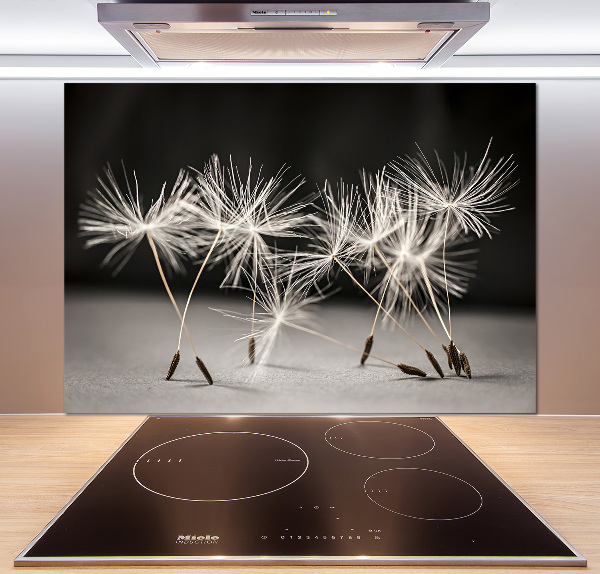 Crédence cuisine en verre trempé Graine de bouffi