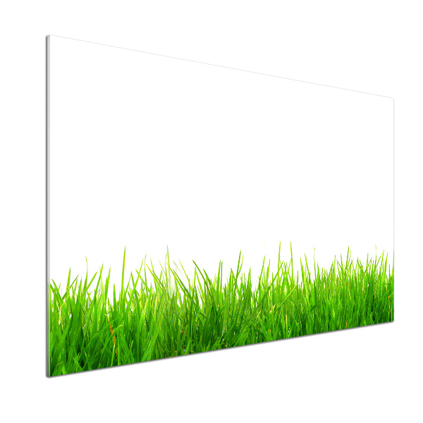 Crédence de cuisine en verre L'herbe