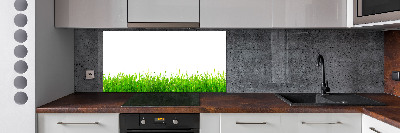 Crédence de cuisine en verre L'herbe