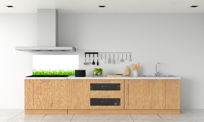 Crédence de cuisine en verre L'herbe