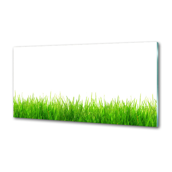 Crédence de cuisine en verre L'herbe