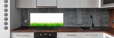 Crédence de cuisine en verre L'herbe