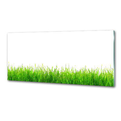 Crédence de cuisine en verre L'herbe