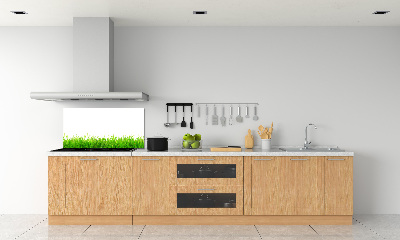 Crédence de cuisine en verre L'herbe
