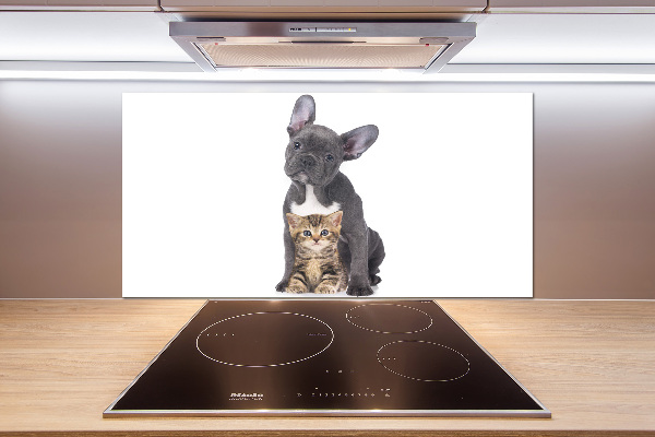Crédence cuisine en verre trempé Chien et chat