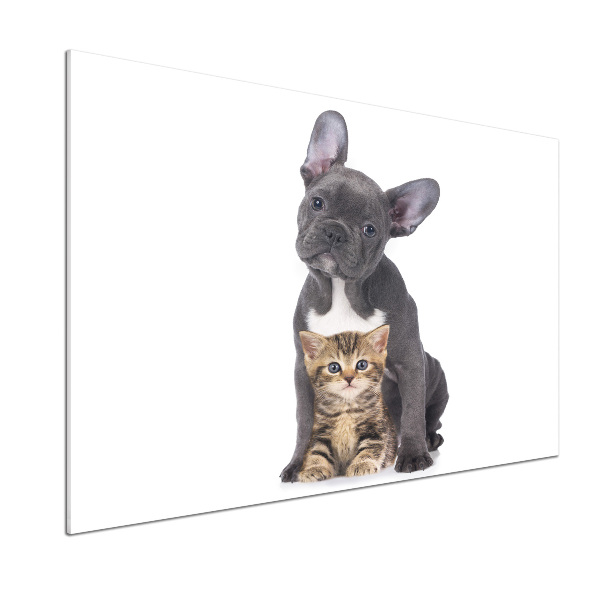 Crédence cuisine en verre trempé Chien et chat