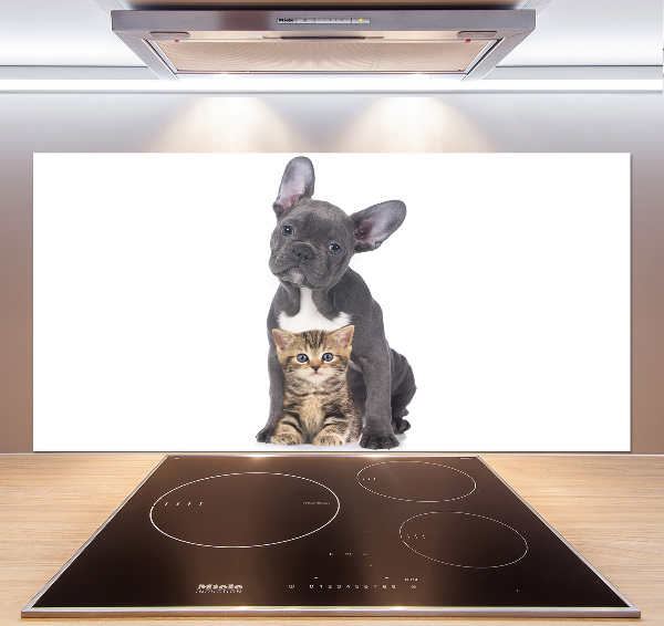 Crédence cuisine en verre trempé Chien et chat