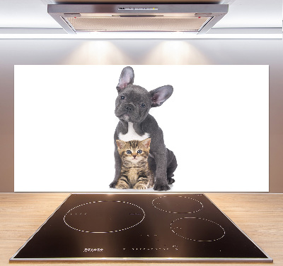 Crédence cuisine en verre trempé Chien et chat