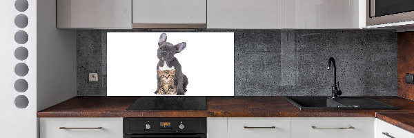 Crédence cuisine en verre trempé Chien et chat