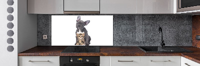 Crédence cuisine en verre trempé Chien et chat