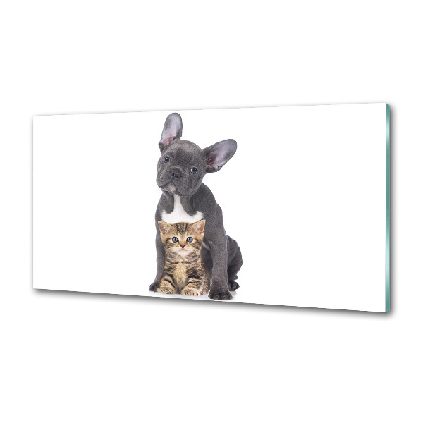 Crédence cuisine en verre trempé Chien et chat