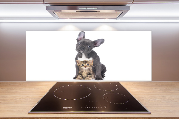 Crédence cuisine en verre trempé Chien et chat