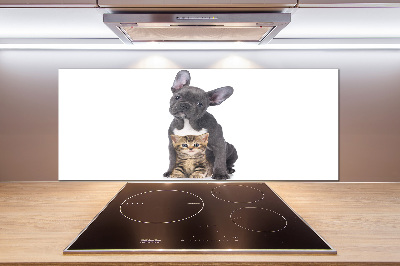 Crédence cuisine en verre trempé Chien et chat
