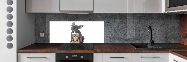 Crédence cuisine en verre trempé Chien et chat