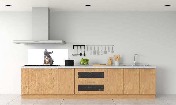 Crédence cuisine en verre trempé Chien et chat