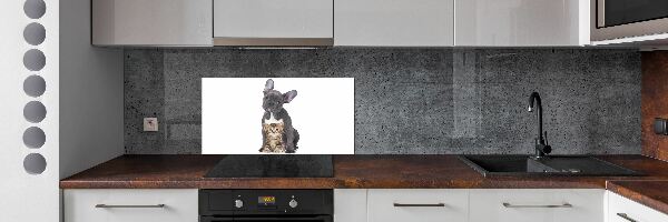 Crédence cuisine en verre trempé Chien et chat