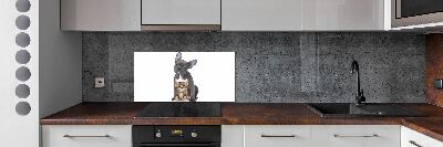 Crédence cuisine en verre trempé Chien et chat